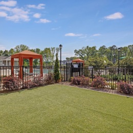 a area with green grass and a fence around it
